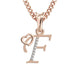 F Initial Alphabet Diamond Pendant - Diamond Jewellery